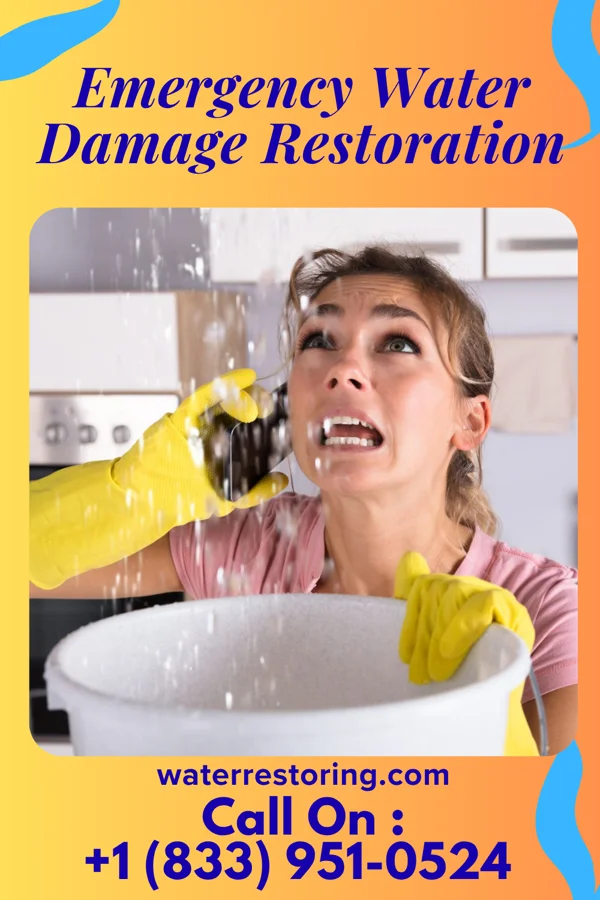 Emergency Water Damage Restoration in Idaho Falls, ID